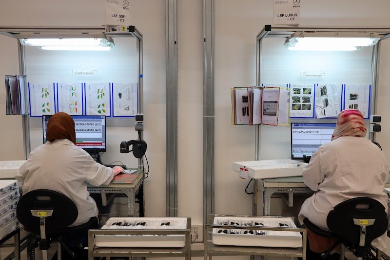 L&rsquo;Épineuse Question de l&rsquo;Insertion Professionnelle des Jeunes Femmes au Maroc : Défis et Voies d&rsquo;Avenir