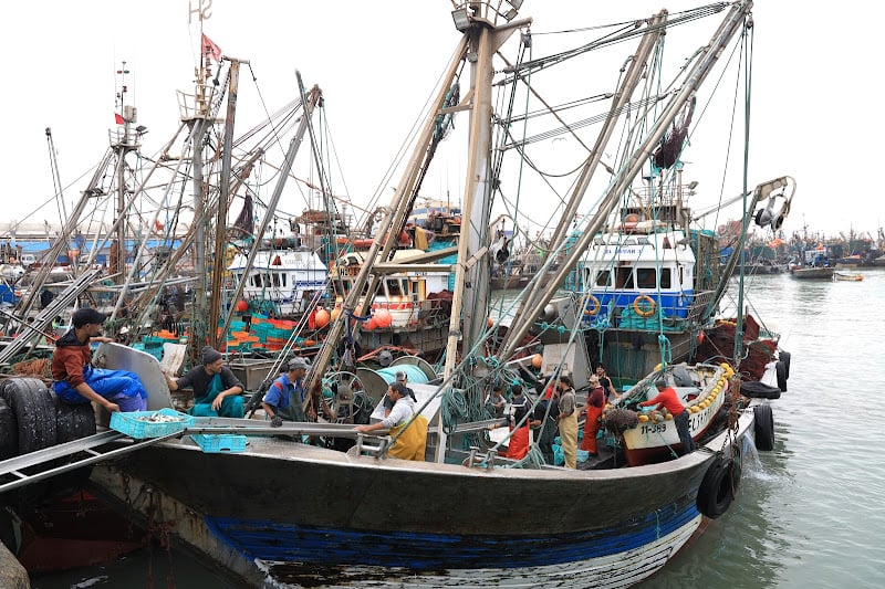 L&rsquo;UE et le Maroc relancent les négociations pour le renouvellement accord de pêche UE Maroc Sahara : Une synergie stratégique essentielle