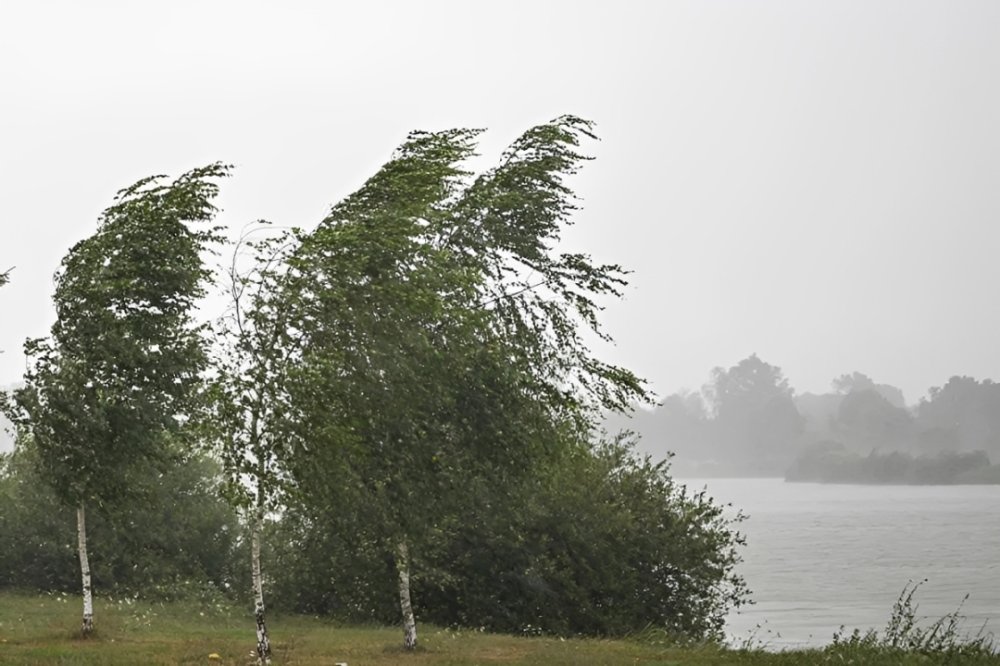 Fortes rafales et pluies orageuses attendues au Maroc jeudi et vendredi