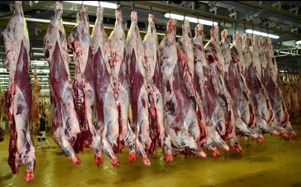 Hausse continue des prix de la viande ovine à Casablanca