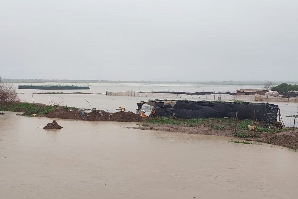 Maroc : un hiver 2025-2026 exceptionnellement pluvieux