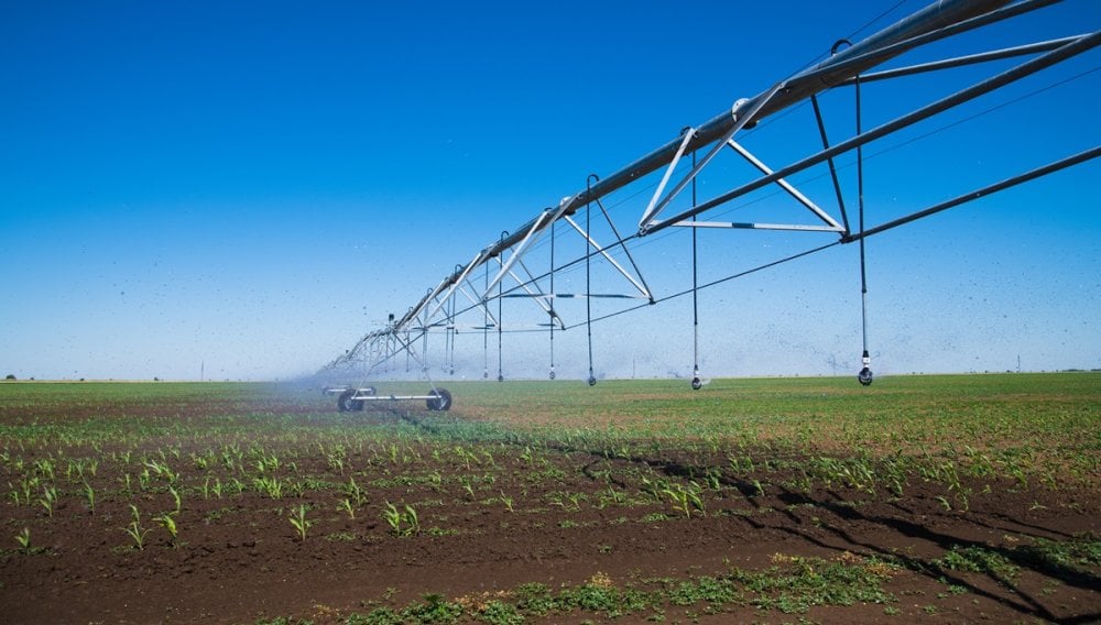 Sécurisation hydrique : 30 000 hectares irrigués par dessalement dans la Moulouya