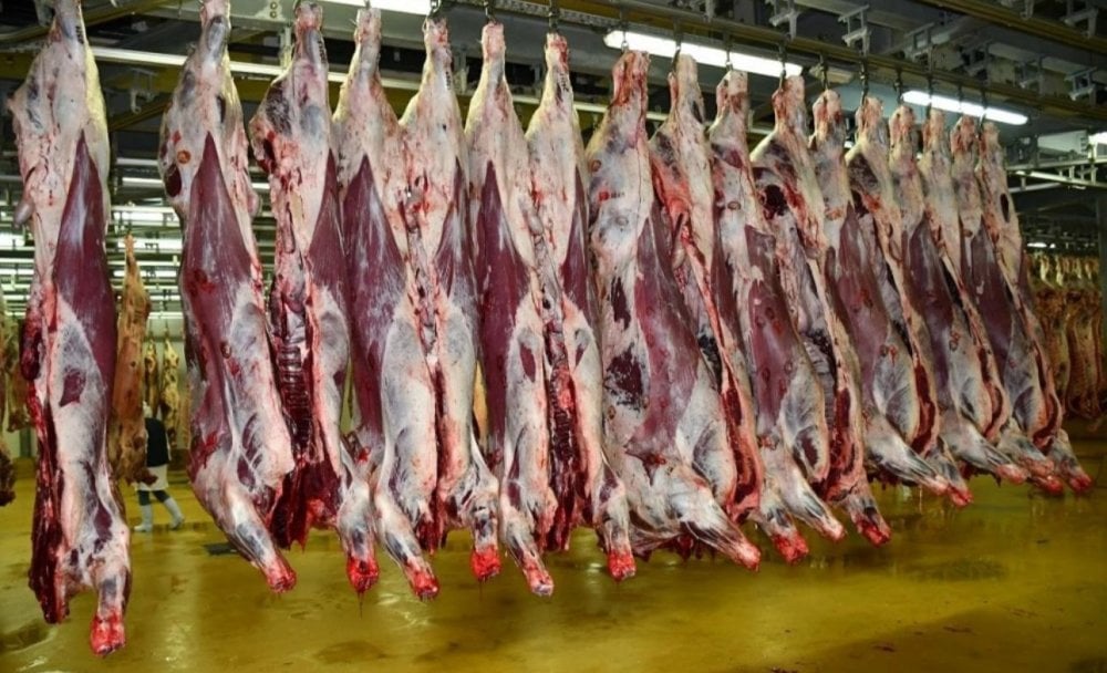 Hausse des prix de la viande rouge à Casablanca avant l&rsquo;Aïd