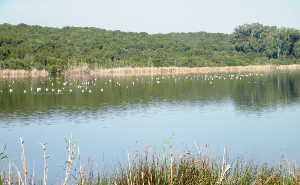 Maroc : 22% du patrimoine naturel menacé d&rsquo;ici 2050