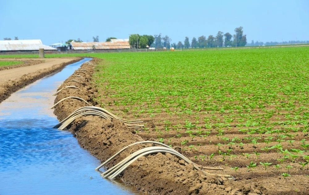 La Banque mondiale salue le modèle marocain de financement vert pour l&rsquo;agriculture et l&rsquo;eau