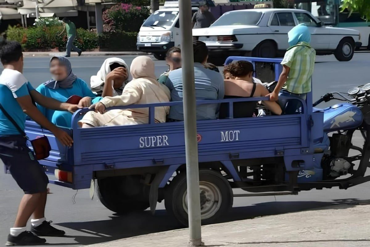 Le CESE plaide pour une refonte structurelle du transport rural marocain