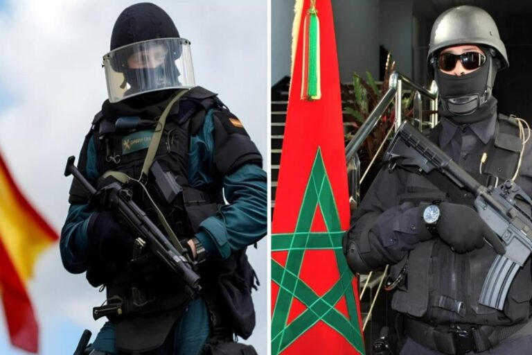 Image de l'article