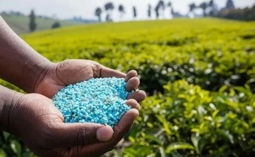 Les exportations marocaines d&rsquo;engrais vers l&rsquo;UE atteignent un niveau record en 2025