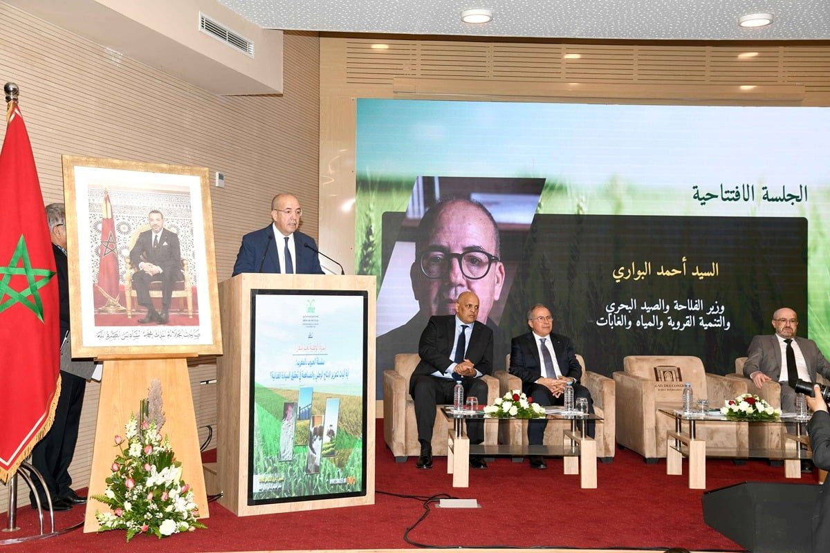 Filière céréalière marocaine : le ministre El Bouari identifie trois défis structurels