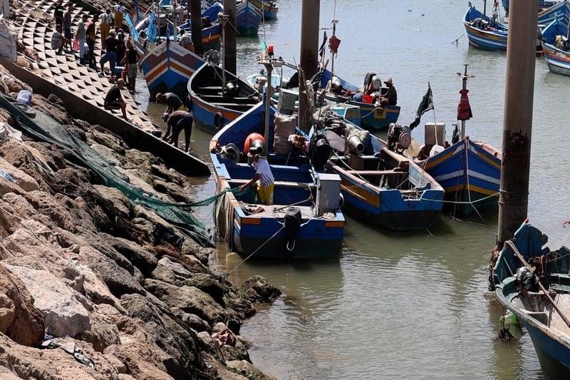 Pêche maritime : un numéro vert dédié aux plaintes et signalements est opérationnel