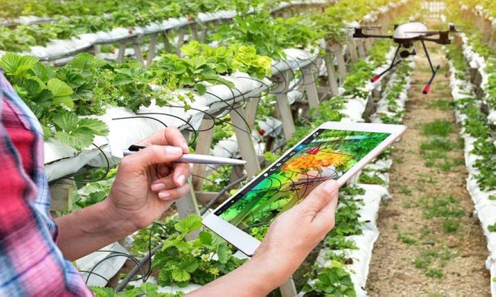 Mécanisme compétitif de recherche agricole 2026 : l&rsquo;État cible l&rsquo;eau et l&rsquo;adaptation climatique