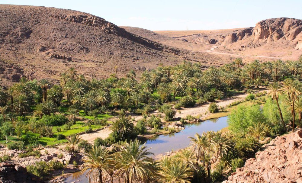 Zagora : une convention de 624 millions de dirhams signée pour la sauvegarde des oasis