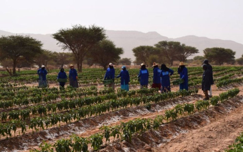 Maroc : suppression des frais de conservation foncière pour les exploitants des terres collectives ethniques
