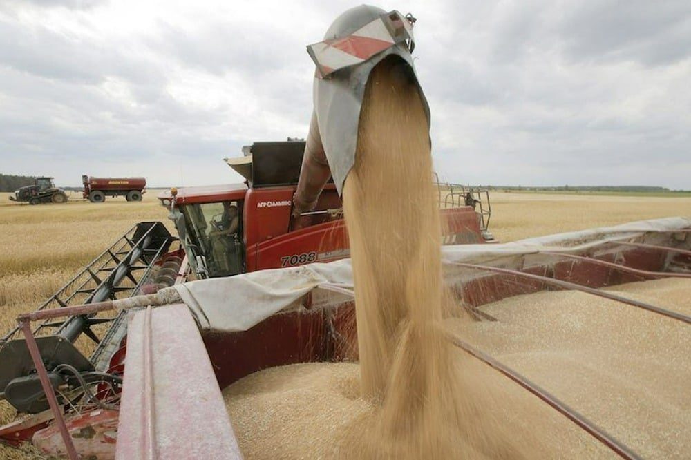 Vagues de chaleur extrême et sécheresse : l’agriculture marocaine menacée par une baisse historique des rendements céréaliers