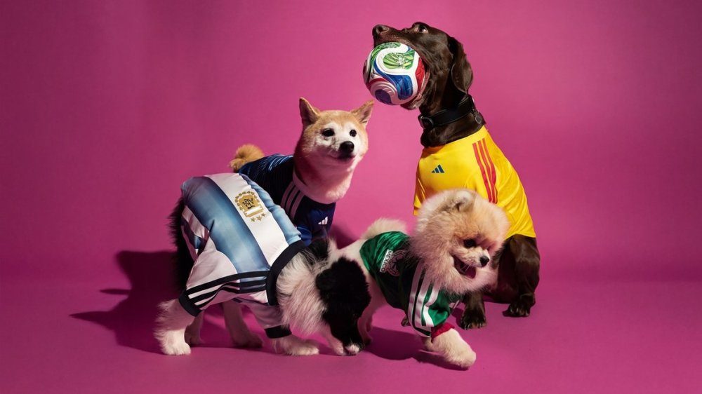 Coupe du Monde 2026 : Adidas lance une ligne de maillots pour animaux de compagnie