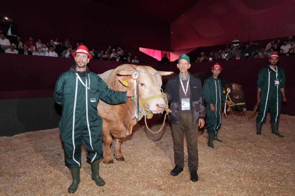 SIAM 2026 : le ministre de l’Agriculture préside la remise des prix aux meilleurs élevages