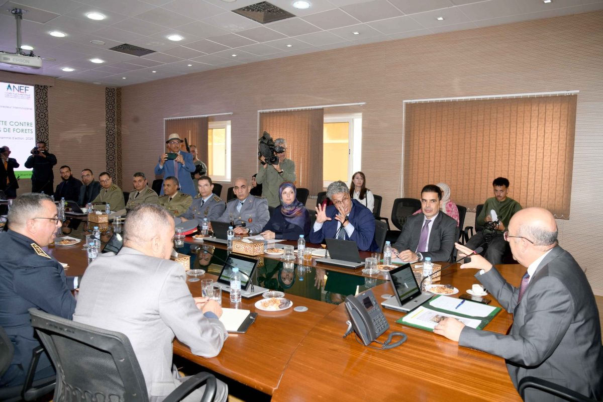 Maroc : 150 millions de dirhams mobilisés pour prévenir les incendies de forêts en 2026