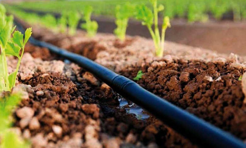 Génération Green : le ministère de l’Agriculture prépare une plateforme numérique pour piloter la transformation agricole