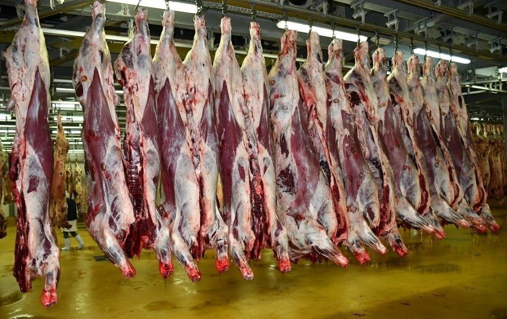 Stabilité des prix de la viande rouge sur les marchés de gros de Casablanca