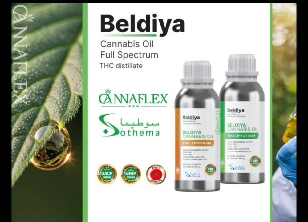 Cannabis : le Maroc franchit une étape majeure avec l’exportation d’un extrait pharmaceutique certifié GMP