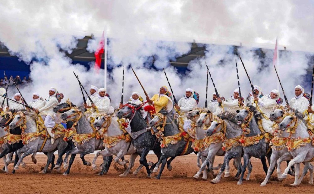 Le Salon du Cheval d&rsquo;El Jadida participe au SIEL 2026 à Rabat