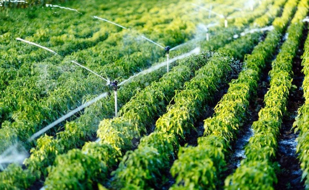 La BAD accompagne la transition du Maroc vers une agriculture de précision et inclusive