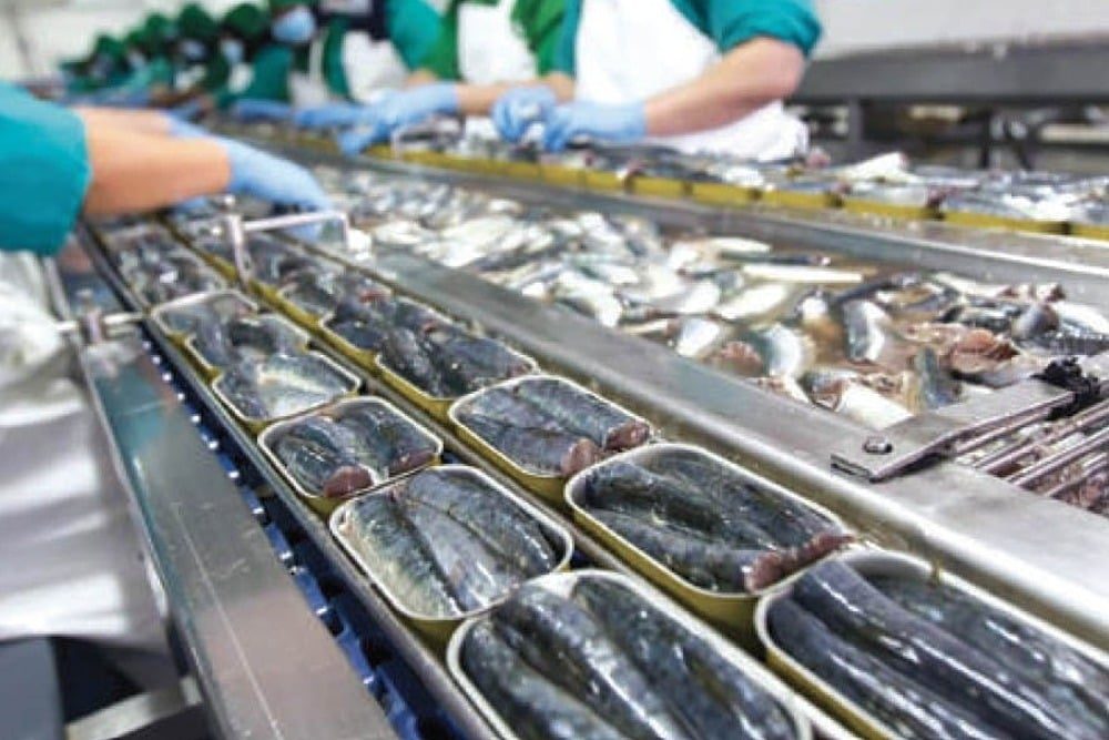 Sardines en conserve : le Maroc, leader mondial de l’exportation, fait face à une pénurie sur son marché intérieur