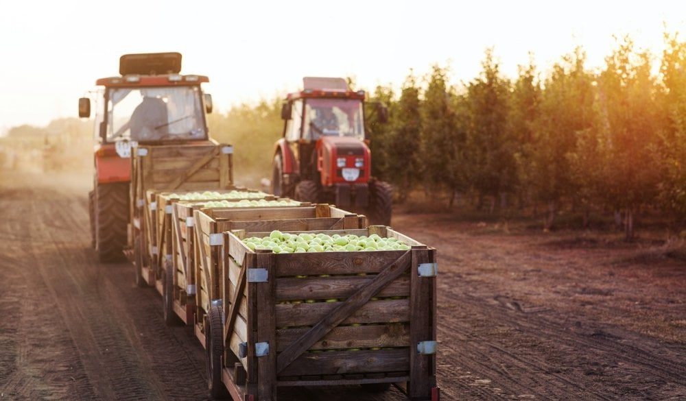 Le Maroc, premier marché nord-africain pour les produits agricoles américains en 2025