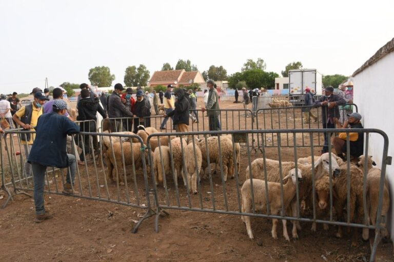 Image de l'article