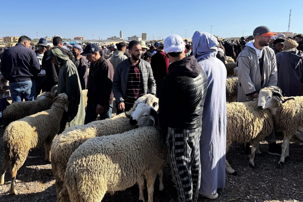 Régulation des marchés de l’Aïd Al-Adha : le Maroc durcit le contrôle pour juguler la spéculation