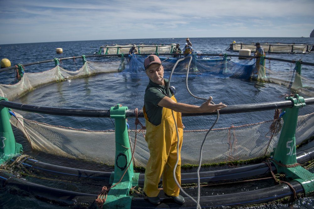 Aquaculture au Maroc : 244 projets actifs, un secteur en pleine expansion