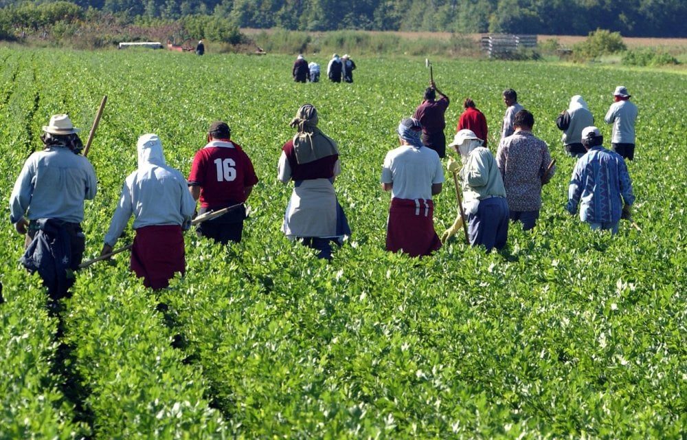 Climat : le Fonds vert appuie l&rsquo;ADA pour un projet agro-pastoral dans l&rsquo;Oriental et à Khénifra