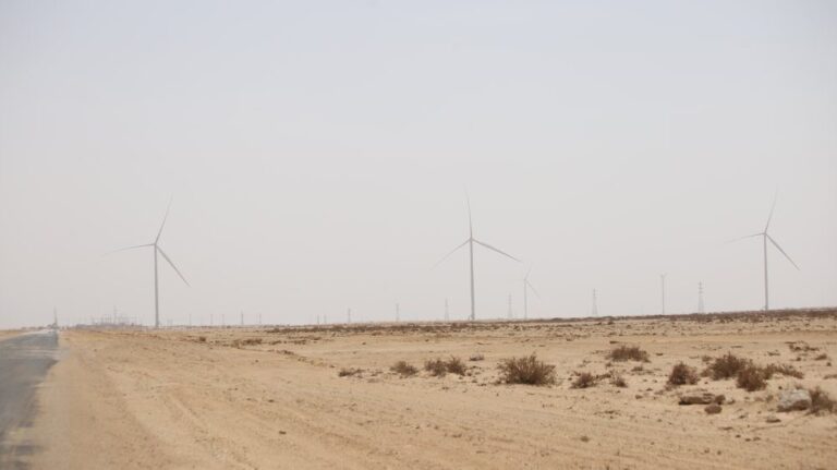 Image de l'article