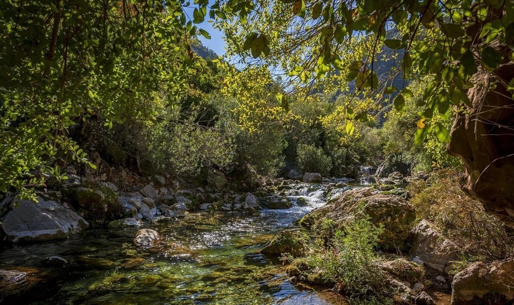 Plaine du Haouz : la nappe phréatique menacée par la pollution et la surexploitation