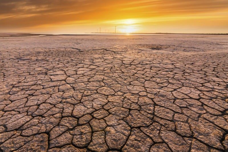 COP17 désertification : la France appelle à une mobilisation mondiale face à la dégradation des sols