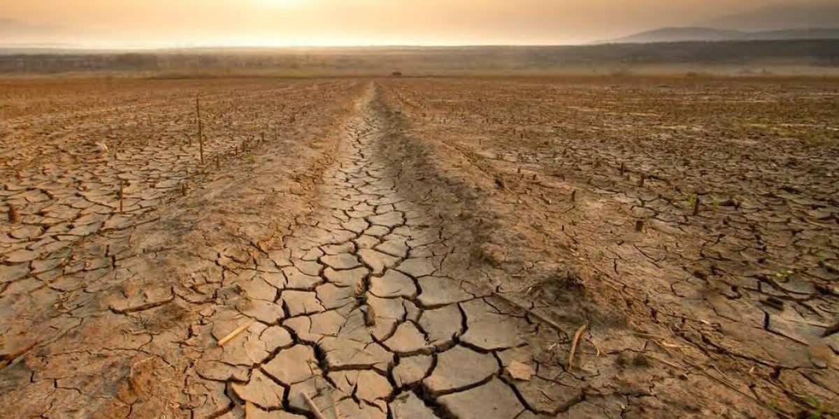El Niño : l&rsquo;ONU met en garde contre une menace sanitaire mondiale majeure